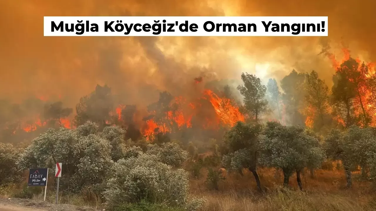 Muğla Köyceğiz’de Orman Yangını! Alevler Yükseliyor