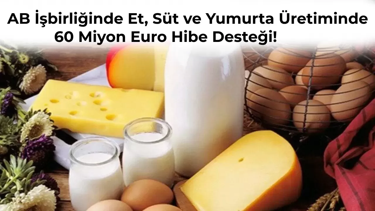 Et ve Süt Ürünleri için 90 Milyon Euro Destek Paketi Geliyor!