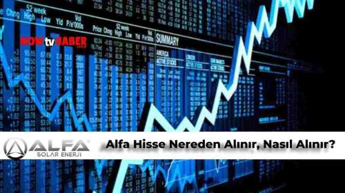 Alfa Hisse Nasıl Alınır? Alfa Hisse Nereden Alınır?