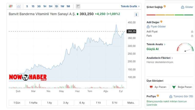 banvit-hisseleri-yorumu-nasil-banvit-hisseleri-grafigi-nasil