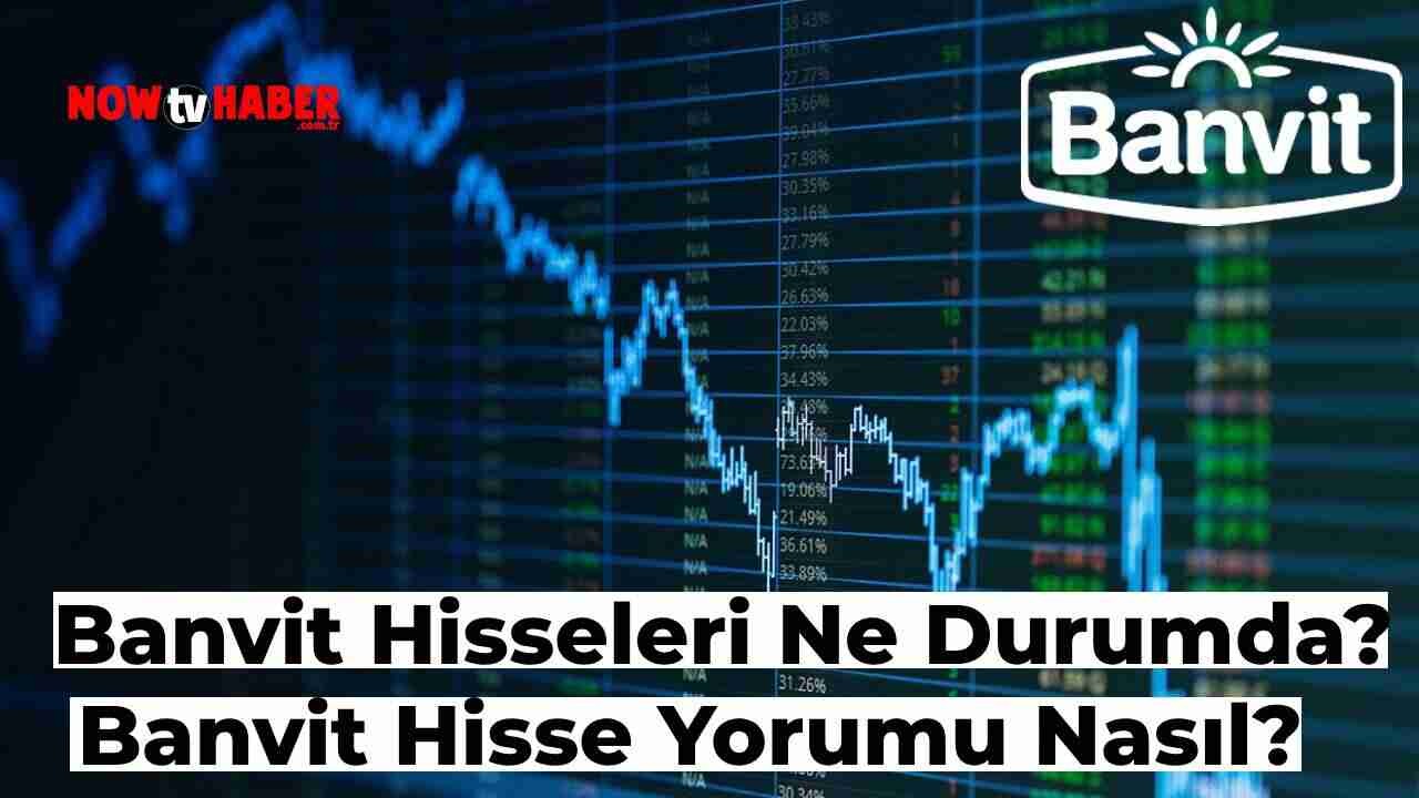 Banvit Hisseleri Yorumu Nasıl? 2024 Güncel Banvit Hisseleri Grafiği Nasıl?